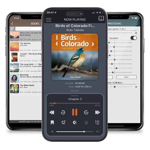 Download fo free audiobook Birds of Colorado Field Guide by Stan Tekiela and listen anywhere on your iOS devices in the ListenBook app.