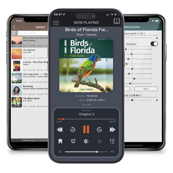 Download fo free audiobook Birds of Florida Field Guide (Revised) by Stan Tekiela and listen anywhere on your iOS devices in the ListenBook app.