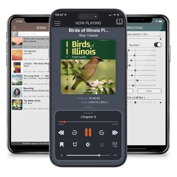 Download fo free audiobook Birds of Illinois Field Guide by Stan Tekiela and listen anywhere on your iOS devices in the ListenBook app.