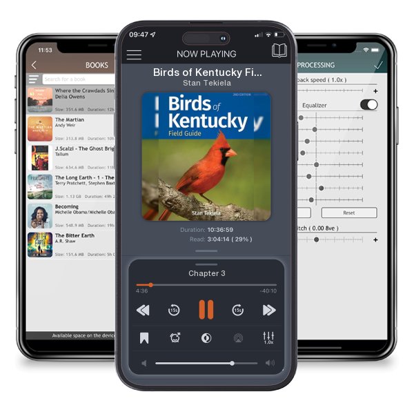 Download fo free audiobook Birds of Kentucky Field Guide (Revised) by Stan Tekiela and listen anywhere on your iOS devices in the ListenBook app.