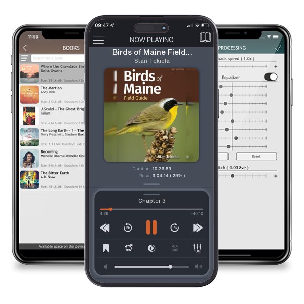 Download fo free audiobook Birds of Maine Field Guide (Revised) by Stan Tekiela and listen anywhere on your iOS devices in the ListenBook app.