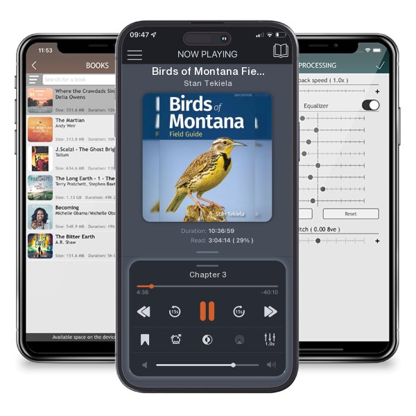 Download fo free audiobook Birds of Montana Field Guide (Revised) by Stan Tekiela and listen anywhere on your iOS devices in the ListenBook app.