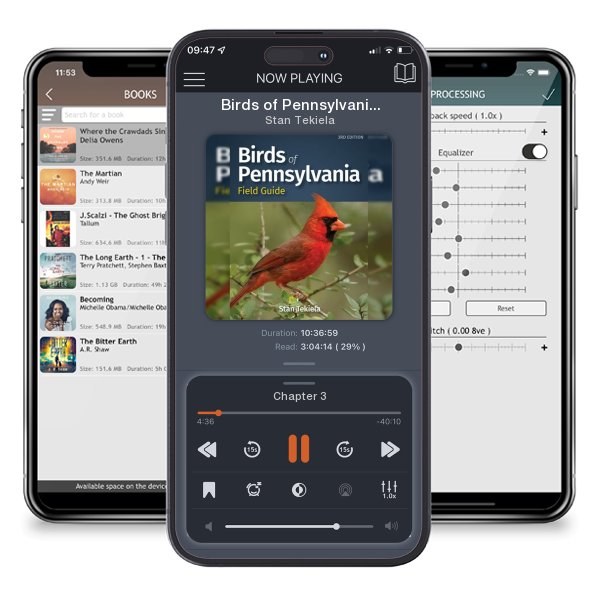 Download fo free audiobook Birds of Pennsylvania Field Guide by Stan Tekiela and listen anywhere on your iOS devices in the ListenBook app.