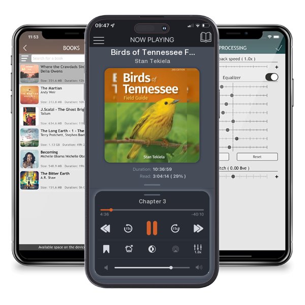 Download fo free audiobook Birds of Tennessee Field Guide by Stan Tekiela and listen anywhere on your iOS devices in the ListenBook app.