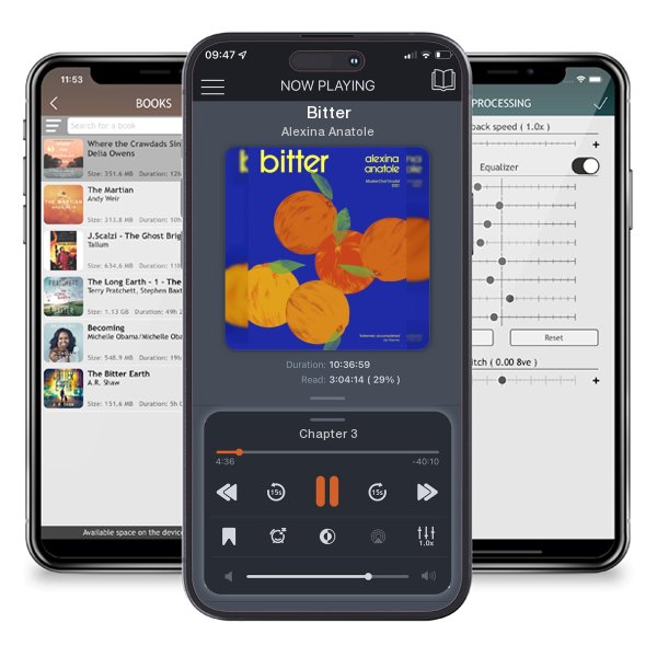 Download fo free audiobook Bitter by Alexina Anatole and listen anywhere on your iOS devices in the ListenBook app.