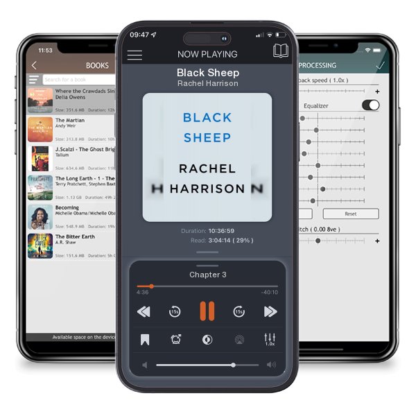 Download fo free audiobook Black Sheep by Rachel Harrison and listen anywhere on your iOS devices in the ListenBook app.