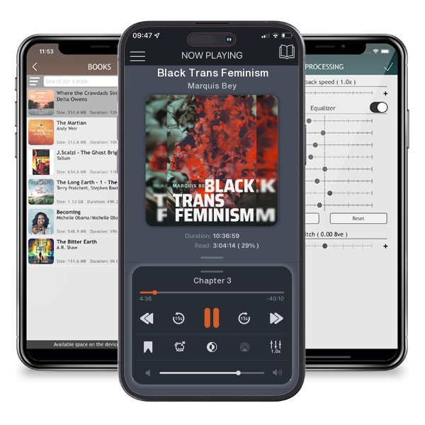 Download fo free audiobook Black Trans Feminism by Marquis Bey and listen anywhere on your iOS devices in the ListenBook app.