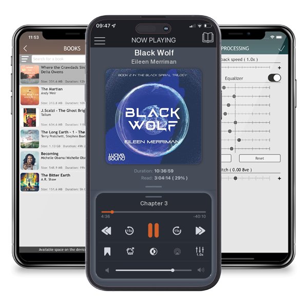 Download fo free audiobook Black Wolf by Eileen Merriman and listen anywhere on your iOS devices in the ListenBook app.