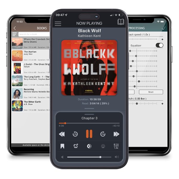 Download fo free audiobook Black Wolf by Kathleen Kent and listen anywhere on your iOS devices in the ListenBook app.