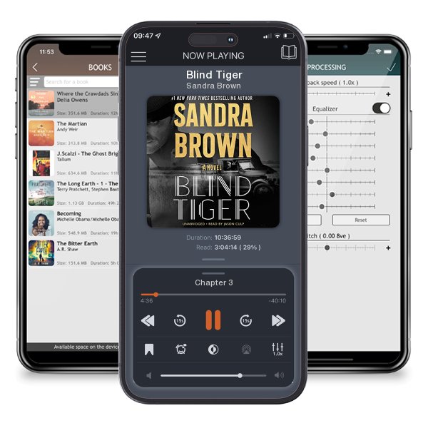 Download fo free audiobook Blind Tiger by Sandra Brown and listen anywhere on your iOS devices in the ListenBook app.