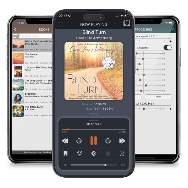 Download fo free audiobook Blind Turn by Cara Sue Achterberg and listen anywhere on your iOS devices in the ListenBook app.