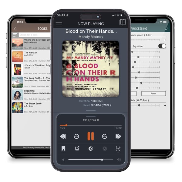 Download fo free audiobook Blood on Their Hands: Murder, Corruption, and the Fall of the... by Mandy Matney and listen anywhere on your iOS devices in the ListenBook app.