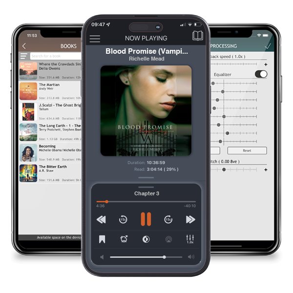 Download fo free audiobook Blood Promise (Vampire Academy, #4) by Richelle Mead and listen anywhere on your iOS devices in the ListenBook app.