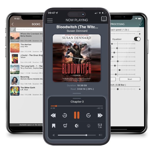 Download fo free audiobook Bloodwitch (The Witchlands, #3) by Susan Dennard and listen anywhere on your iOS devices in the ListenBook app.
