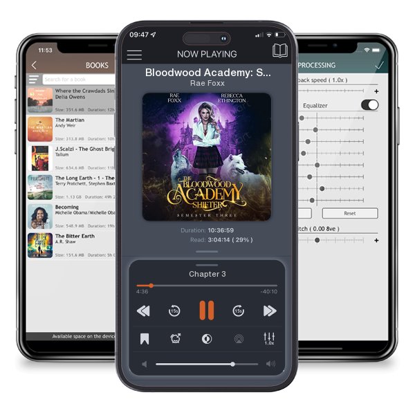 Download fo free audiobook Bloodwood Academy: Semester Three by Rae Foxx and listen anywhere on your iOS devices in the ListenBook app.
