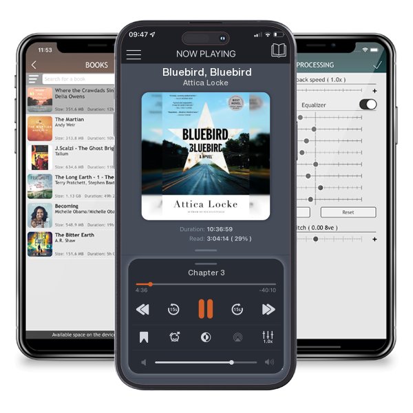 Download fo free audiobook Bluebird, Bluebird by Attica Locke and listen anywhere on your iOS devices in the ListenBook app.