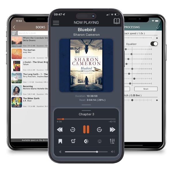 Download fo free audiobook Bluebird by Sharon Cameron and listen anywhere on your iOS devices in the ListenBook app.