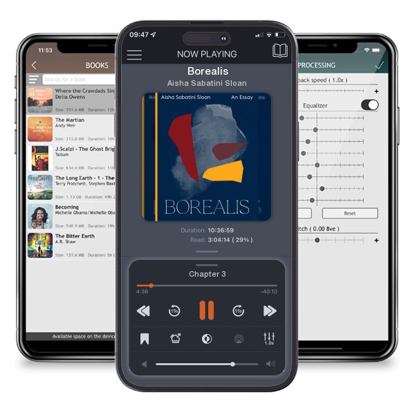 Download fo free audiobook Borealis by Aisha Sabatini Sloan and listen anywhere on your iOS devices in the ListenBook app.