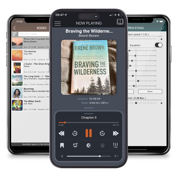 Download fo free audiobook Braving the Wilderness by Brené Brown and listen anywhere on your iOS devices in the ListenBook app.