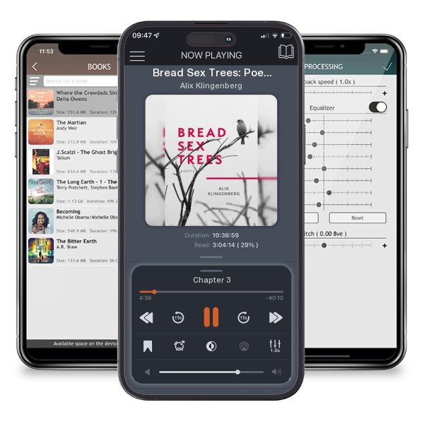 Download fo free audiobook Bread Sex Trees: Poetry by Alix Klingenberg and listen anywhere on your iOS devices in the ListenBook app.