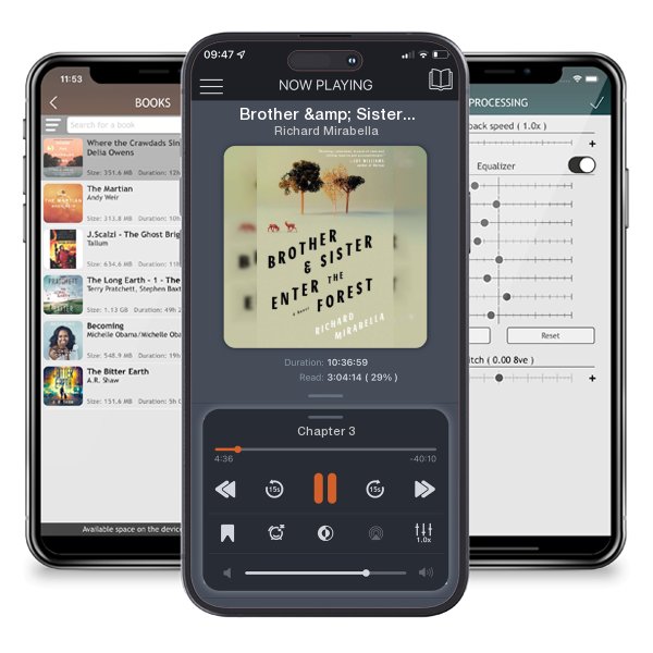 Download fo free audiobook Brother & Sister Enter the Forest by Richard Mirabella and listen anywhere on your iOS devices in the ListenBook app.