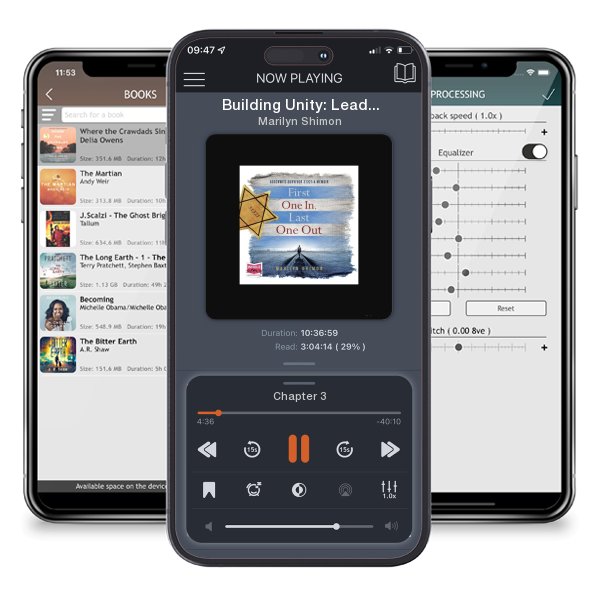 Download fo free audiobook Building Unity: Leading a Non-Profit from Spark to Succession by Marilyn Shimon and listen anywhere on your iOS devices in the ListenBook app.