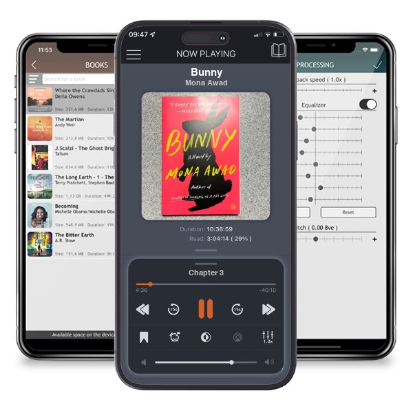 Download fo free audiobook Bunny by Mona Awad and listen anywhere on your iOS devices in the ListenBook app.