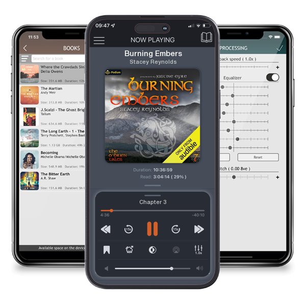 Download fo free audiobook Burning Embers by Stacey Reynolds and listen anywhere on your iOS devices in the ListenBook app.