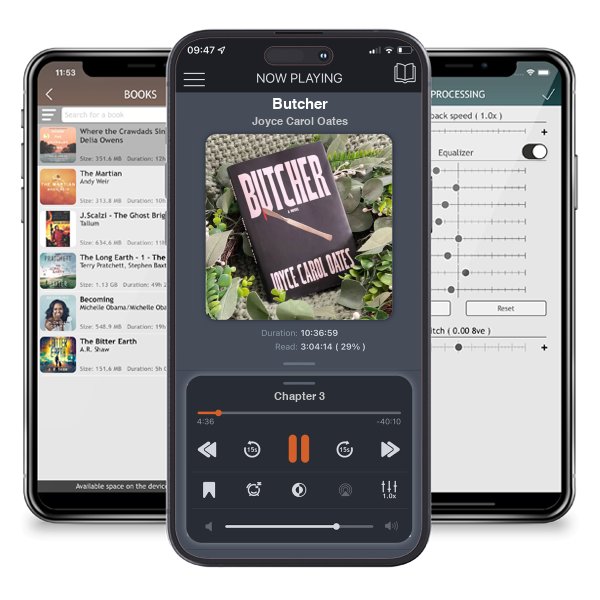 Download fo free audiobook Butcher by Joyce Carol Oates and listen anywhere on your iOS devices in the ListenBook app.