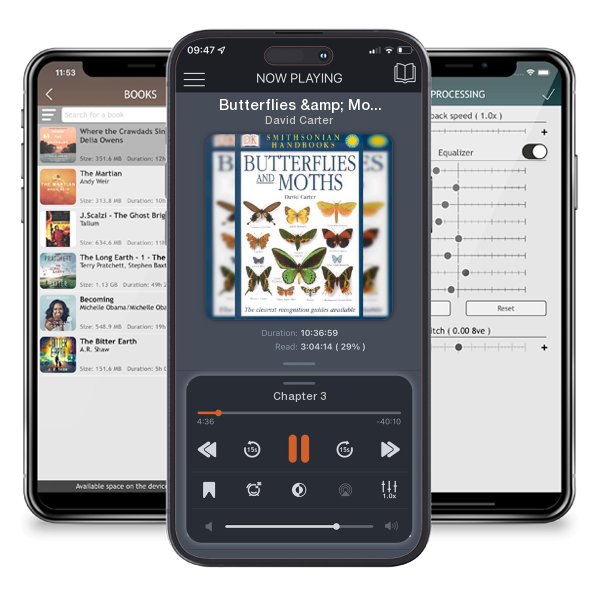 Download fo free audiobook Butterflies & Moths: The Clearest Recognition Guide Available (DK Handbooks) (Book) by David Carter and listen anywhere on your iOS devices in the ListenBook app.