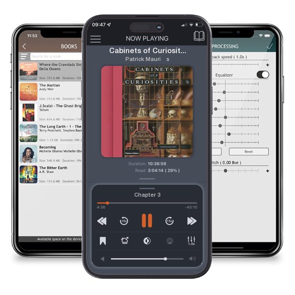 Download fo free audiobook Cabinets of Curiosities by Patrick Mauriès and listen anywhere on your iOS devices in the ListenBook app.