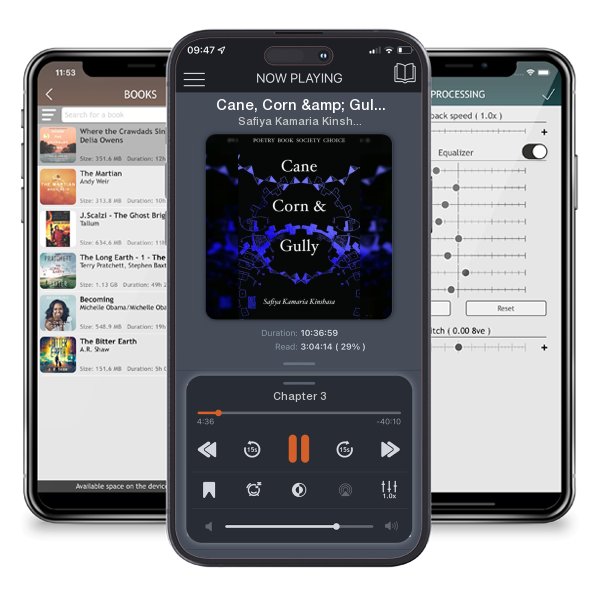 Download fo free audiobook Cane, Corn & Gully by Safiya Kamaria Kinshasa and listen anywhere on your iOS devices in the ListenBook app.