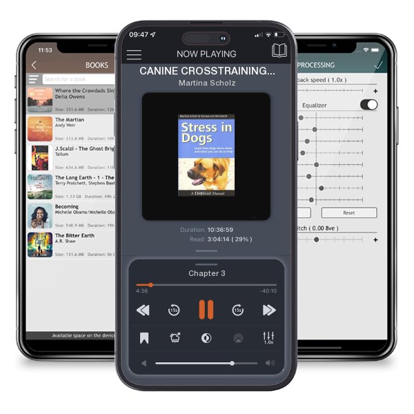 Download fo free audiobook CANINE CROSSTRAINING Achieving Excellence In Multiple Dog Sports: CANINE CROSSTRAINING by Martina Scholz and listen anywhere on your iOS devices in the ListenBook app.