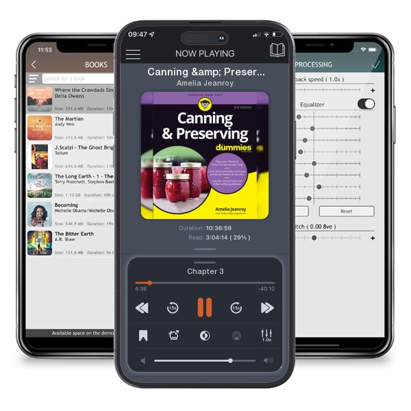 Download fo free audiobook Canning & Preserving for Dummies by Amelia Jeanroy and listen anywhere on your iOS devices in the ListenBook app.