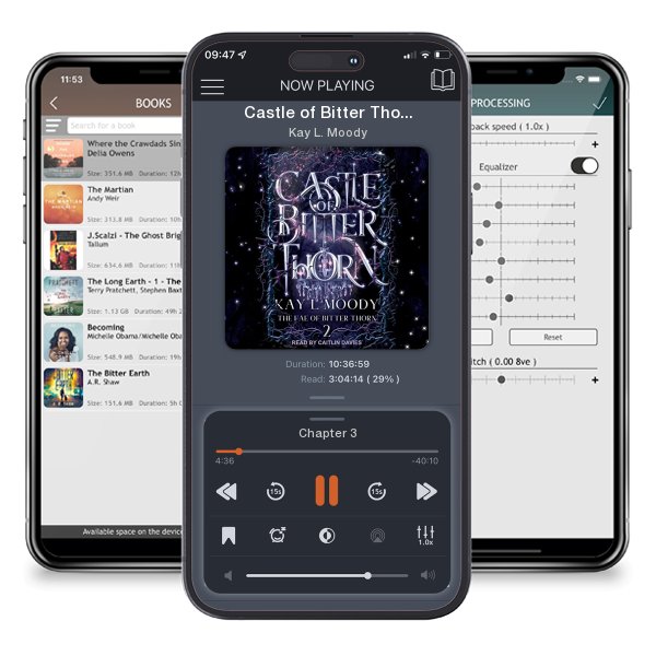 Download fo free audiobook Castle of Bitter Thorn by Kay L. Moody and listen anywhere on your iOS devices in the ListenBook app.