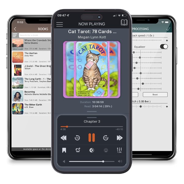 Download fo free audiobook Cat Tarot: 78 Cards & Guidebook by Megan Lynn Kott and listen anywhere on your iOS devices in the ListenBook app.