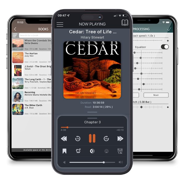 Download fo free audiobook Cedar: Tree of Life to the Northwest Coast Indians by Hilary Stewart and listen anywhere on your iOS devices in the ListenBook app.