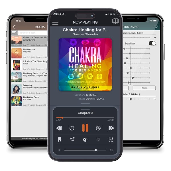 Download fo free audiobook Chakra Healing for Beginners by Naisha Chandra and listen anywhere on your iOS devices in the ListenBook app.