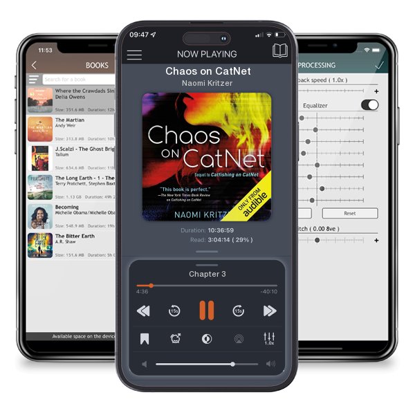 Download fo free audiobook Chaos on CatNet by Naomi Kritzer and listen anywhere on your iOS devices in the ListenBook app.