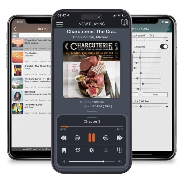 Download fo free audiobook Charcuterie: The Craft of Salting, Smoking, and Curing by Brian Polcyn, Michael Ruhlman, et al. and listen anywhere on your iOS devices in the ListenBook app.