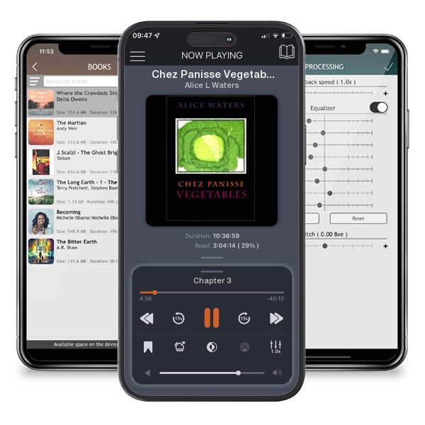 Download fo free audiobook Chez Panisse Vegetables by Alice L Waters and listen anywhere on your iOS devices in the ListenBook app.