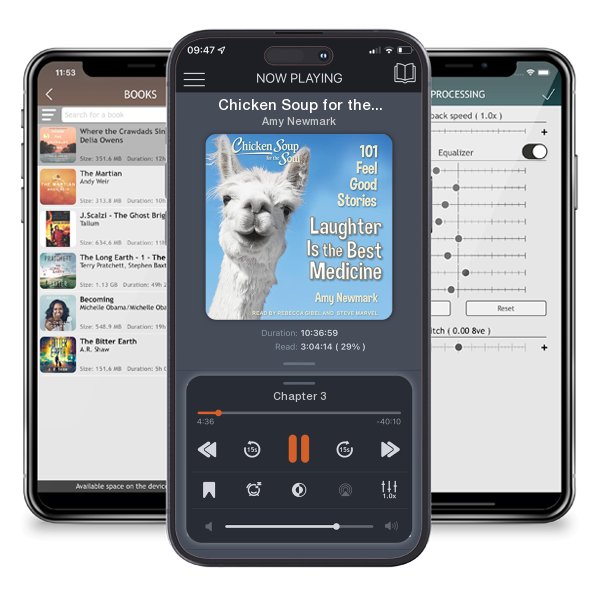 Download fo free audiobook Chicken Soup for the Soul by Amy Newmark and listen anywhere on your iOS devices in the ListenBook app.