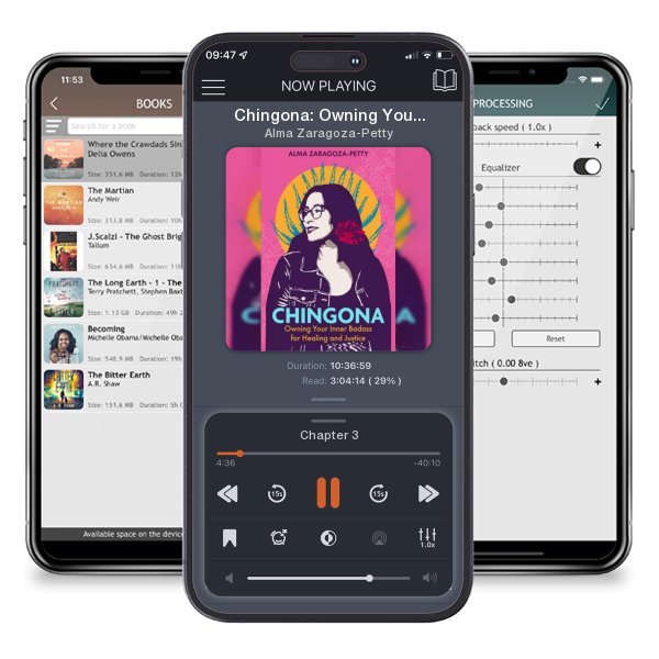 Download fo free audiobook Chingona: Owning Your Inner Badass for Healing and Justice by Alma Zaragoza-Petty and listen anywhere on your iOS devices in the ListenBook app.