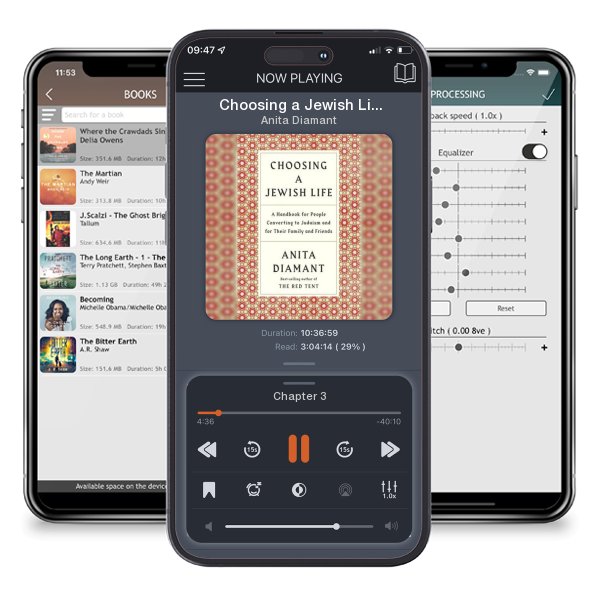 Download fo free audiobook Choosing a Jewish Life, Revised and Updated: A Handbook for... by Anita Diamant and listen anywhere on your iOS devices in the ListenBook app.