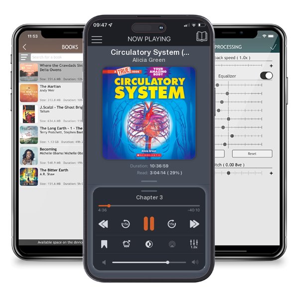 Download fo free audiobook Circulatory System (A True Book: Your Amazing Body) (A True Book (Relaunch)) by Alicia Green and listen anywhere on your iOS devices in the ListenBook app.