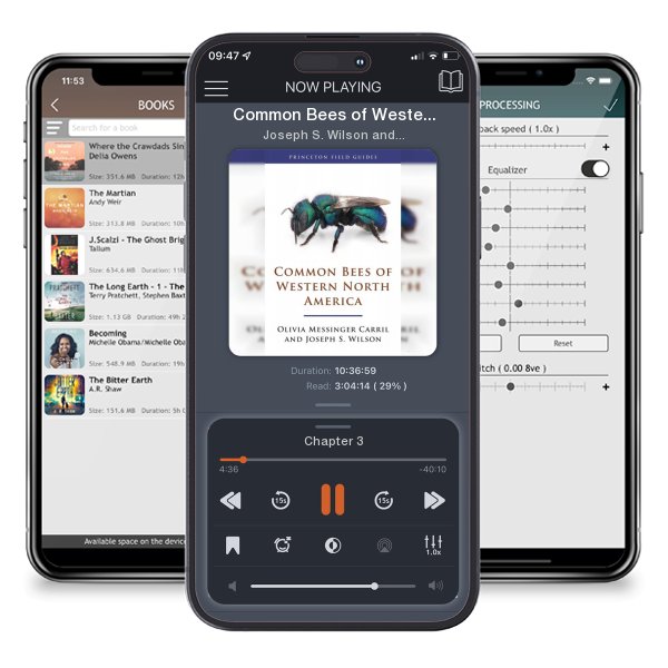 Download fo free audiobook Common Bees of Western North America by Joseph S. Wilson and Olivia Messinger Carril and listen anywhere on your iOS devices in the ListenBook app.