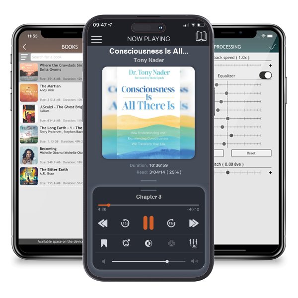 Download fo free audiobook Consciousness Is All There Is: How Understanding and... by Tony Nader and listen anywhere on your iOS devices in the ListenBook app.