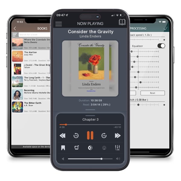 Download fo free audiobook Consider the Gravity by Linda Enders and listen anywhere on your iOS devices in the ListenBook app.