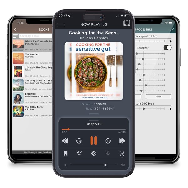 Download fo free audiobook Cooking for the Sensitive Gut: Delicious, soothing, healthy recipes for every day by Dr Joan Ransley and listen anywhere on your iOS devices in the ListenBook app.