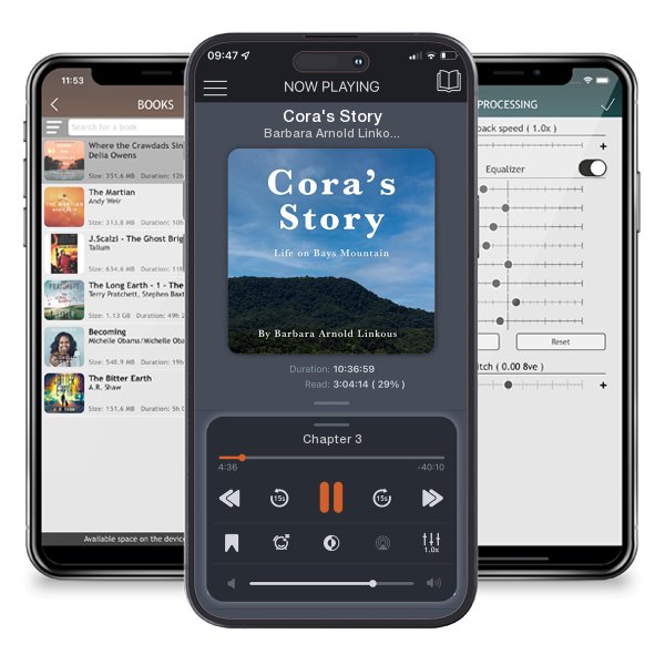 Download fo free audiobook Cora's Story by Barbara Arnold Linkous and listen anywhere on your iOS devices in the ListenBook app.